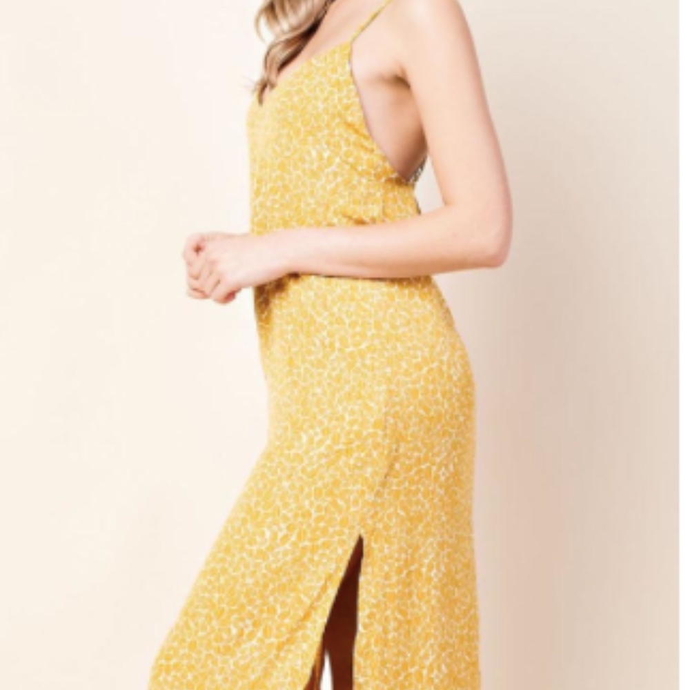 Honey Punch Midi Dress